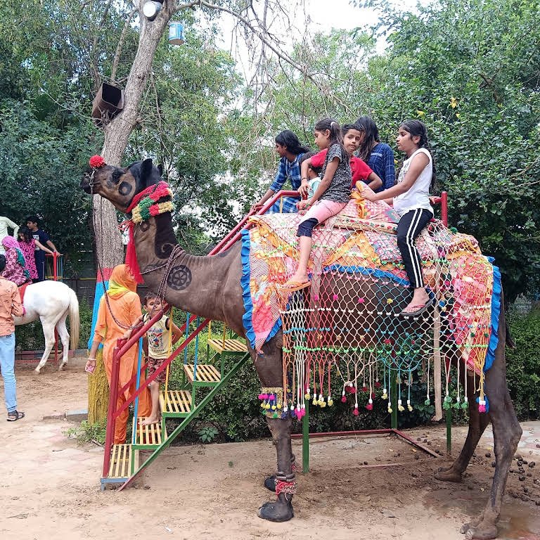 Camel Ride (ऊंट की सवारी)