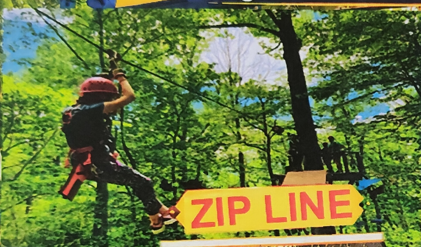 Zip Line
